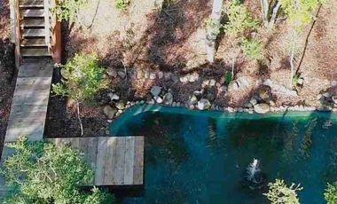 ✨ ¡TU REFUGIO SOÑADO ENTRE PUCÓN Y VILLARRICA