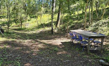 ✨ ¡TU REFUGIO SOÑADO ENTRE PUCÓN Y VILLARRICA