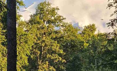 ✨ ¡TU REFUGIO SOÑADO ENTRE PUCÓN Y VILLARRICA