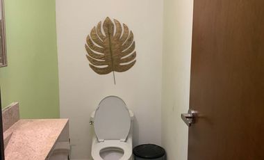 Casa en venta con amplio terreno en Cholul