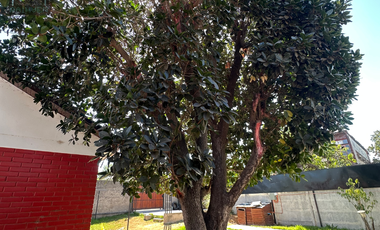 En venta hermosa casa con amplio terreno 4D 2B en Quillota