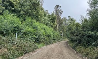 Campo de 23,7 hectáreas Loncoche, sector La Paz