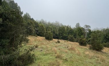 Campo de 23,7 hectáreas Loncoche, sector La Paz