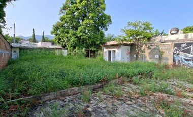 TERRENO EN RENTA DE 434 M2 EN FRACCIONAMIENTO LAS ARBOLEDAS