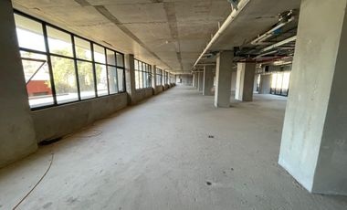 ARRIENDO Local/Oficina de 1.169,09 m2, sector Bellavista Tv, Providencia