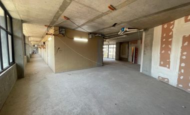 ARRIENDO Local/Oficina de 1.169,09 m2, sector Bellavista Tv, Providencia