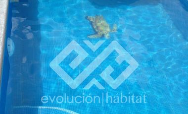 CASA EN RENTA VACACIONAL, EN CUAUTLA MORELOS, COSTO POR FIN DE SEMANA