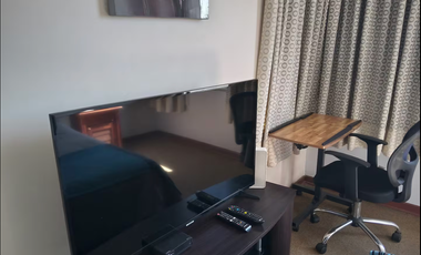 Arriendo Depto Amoblado en Recoleta, 1 Dormitorio, 1 Baño, Internet y Cable Incluido