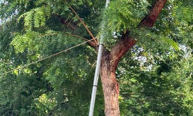 RENTA DE CASA EN DZITYA