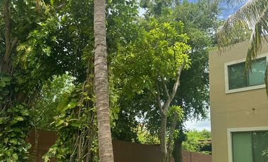 RENTA DE CASA EN DZITYA