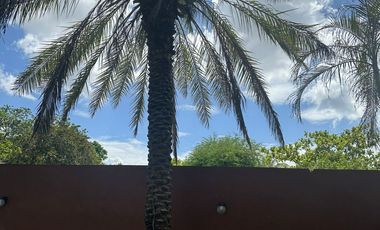 RENTA DE CASA EN DZITYA