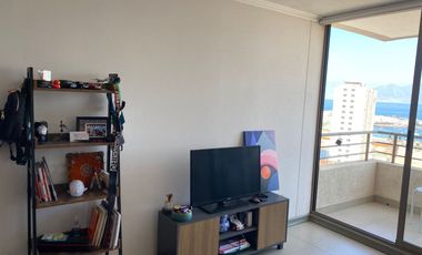 Arriendo departamento nuevo a contar de Mayo 2026 UF16.45