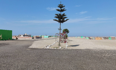 📍 Venta De Terreno En Monte Pinar – Huacho