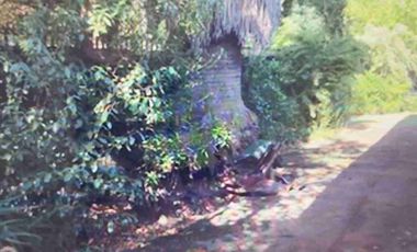 Casa de 4hab 4bñs, 2 pisos cercana al Jumbo Rgua.