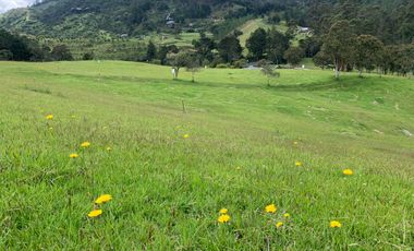 Lote en Venta Pantanillo El Retiro