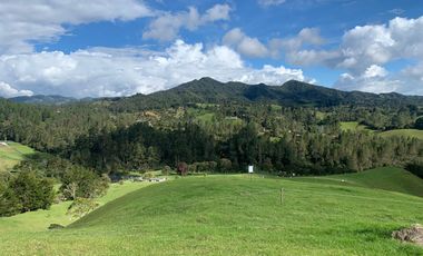 Lote en Venta Pantanillo El Retiro