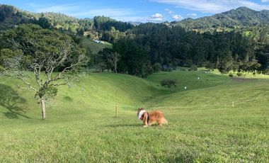 Lote en Venta Pantanillo El Retiro