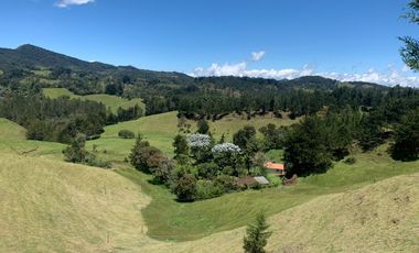 Lote en Venta Pantanillo El Retiro