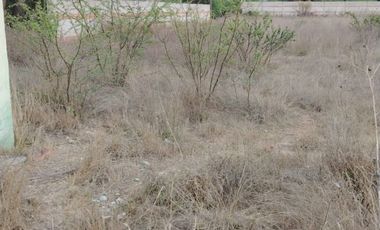 TERRENO ESCRITURADO EN VENTA EN LA TRINIDAD TEQUISQUIAPAN