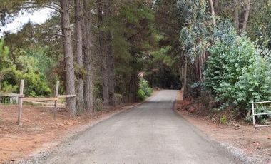 VEN 518 Se vende parcela de 5400 m2 con casa y mucha naturaleza en Hualqui