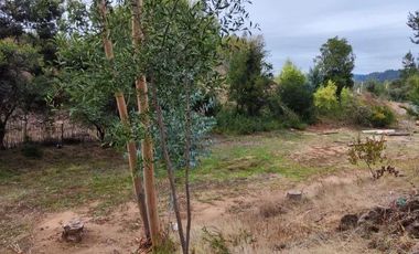 VEN 518 Se vende parcela de 5400 m2 con casa y mucha naturaleza en Hualqui