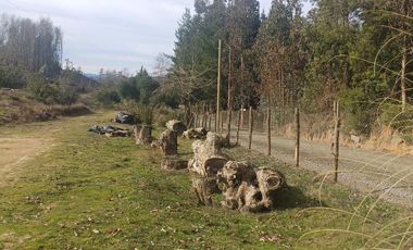 VEN 518 Se vende parcela de 5400 m2 con casa y mucha naturaleza en Hualqui
