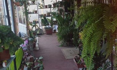 VEN 518 Se vende parcela de 5400 m2 con casa y mucha naturaleza en Hualqui