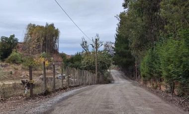 VEN 518 Se vende parcela de 5400 m2 con casa y mucha naturaleza en Hualqui