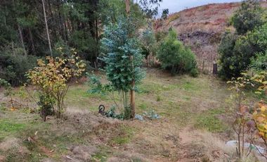 VEN 518 Se vende parcela de 5400 m2 con casa y mucha naturaleza en Hualqui
