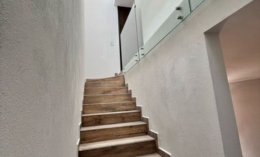 CASA CORSO 