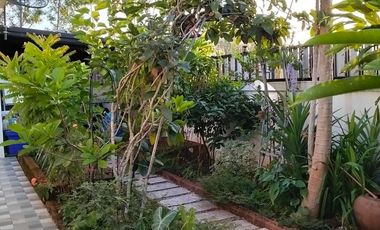 80563 - ขายบ้านเดี่ยว โครงการเดอะบอสโฮม กบินทร์บุรี ปราจีนบุรี