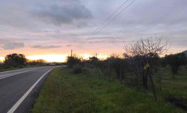 vendo parcelas en Marchigue,5.000 m2 
* Rol propio individual 
* Listo para escriturar
* Documentación al día (CBR / SII/SAG)