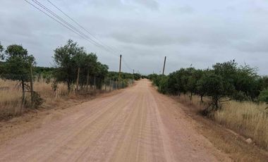 vendo parcelas en Marchigue,5.000 m2 
* Rol propio individual 
* Listo para escriturar
* Documentación al día (CBR / SII/SAG)