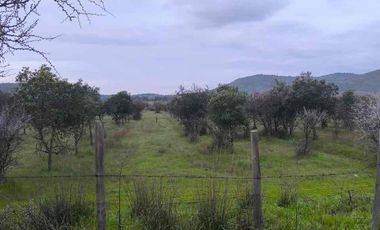 vendo parcelas en Marchigue,5.000 m2 
* Rol propio individual 
* Listo para escriturar
* Documentación al día (CBR / SII/SAG)