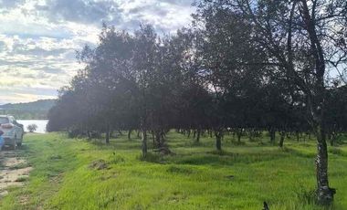 vendo parcelas en Marchigue,5.000 m2 
* Rol propio individual 
* Listo para escriturar
* Documentación al día (CBR / SII/SAG)