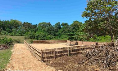Tanah Pink Zone Dekat Pandawa Golf dan Sawangan Nusa Dua Bali