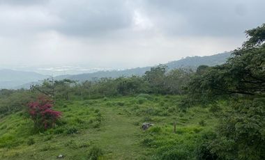 VENTA FINCA, EL PEDREGAL, YUMBO, VALLE DEL CAUCA