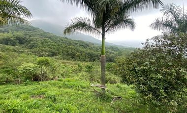 VENTA FINCA, EL PEDREGAL, YUMBO, VALLE DEL CAUCA