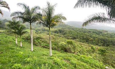 VENTA FINCA, EL PEDREGAL, YUMBO, VALLE DEL CAUCA