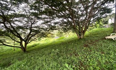 VENTA FINCA, EL PEDREGAL, YUMBO, VALLE DEL CAUCA