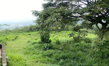 VENTA FINCA, EL PEDREGAL, YUMBO, VALLE DEL CAUCA
