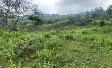 VENTA FINCA, EL PEDREGAL, YUMBO, VALLE DEL CAUCA