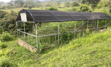 VENTA FINCA, EL PEDREGAL, YUMBO, VALLE DEL CAUCA