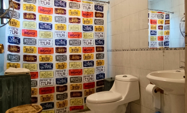 Venta Parcela en Condominio El Trebol Panquehue - 5.000 m2