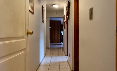 Venta Parcela en Condominio El Trebol Panquehue - 5.000 m2