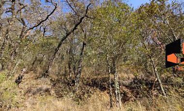 Terreno en venta en Escobar, Mineral del Monte