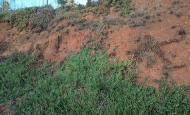 VEN 673 Se vende parcela de 7.200 con dos casas construidas y piscina a 45 minutos de Concepción en Florida