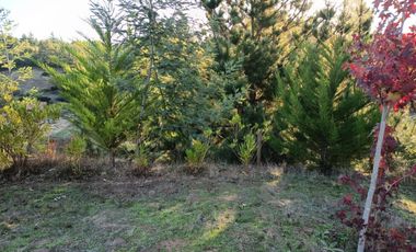 VEN 673 Se vende parcela de 7.200 con dos casas construidas y piscina a 45 minutos de Concepción en Florida