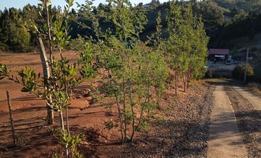 VEN 673 Se vende parcela de 7.200 con dos casas construidas y piscina a 45 minutos de Concepción en Florida