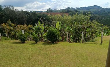 Venta de casa finca a puerta cerrada en la Cumbre Valle del Cauca